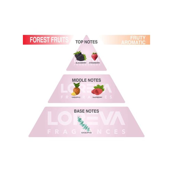 Diffuseur d'Ambiance FRUİTS De La FORET 100 ml Luxe pour votre Maison ou Bureau