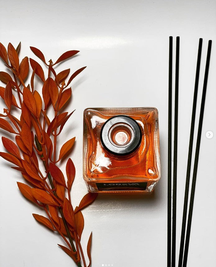 Diffuseurs de Ambiance MANGO 100 ml Maison ou Bureau,tout intérieur